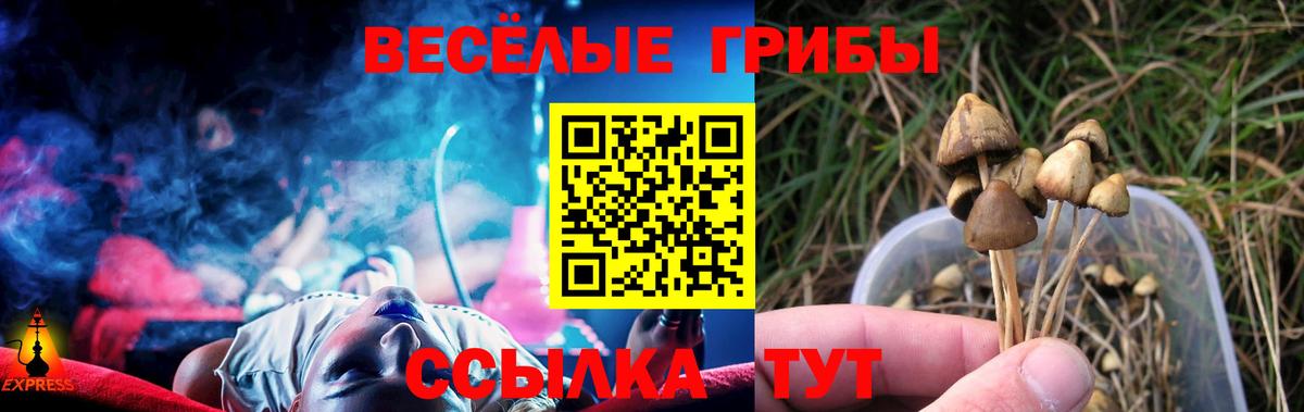 Белово  Псилоцибиновые грибы Psilocybe  дарнет шоп  Псилоцибиновые грибы прущие грибы  Вход с VPN 