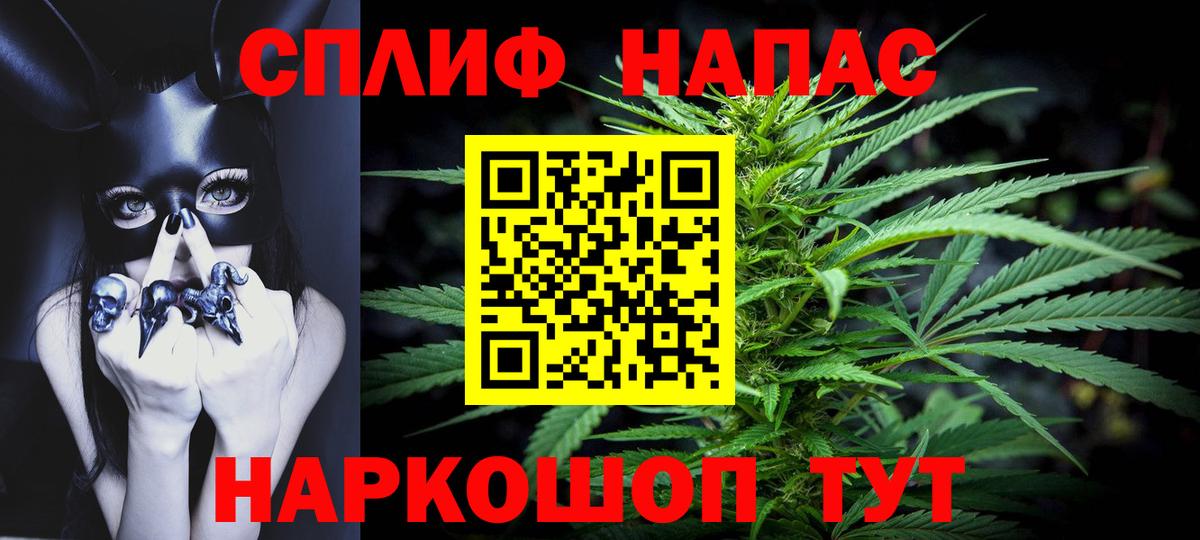 Конопля сатива Белово
